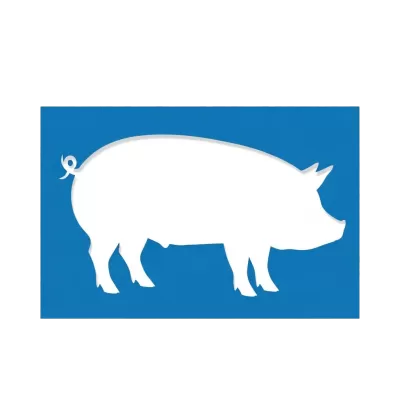 Imagen PNG para descargar